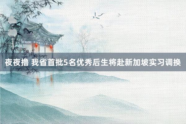 夜夜撸 我省首批5名优秀后生将赴新加坡实习调换