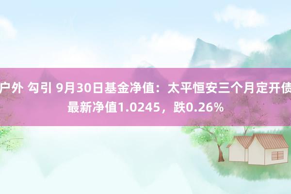 户外 勾引 9月30日基金净值：太平恒安三个月定开债最新净值1.0245，跌0.26%