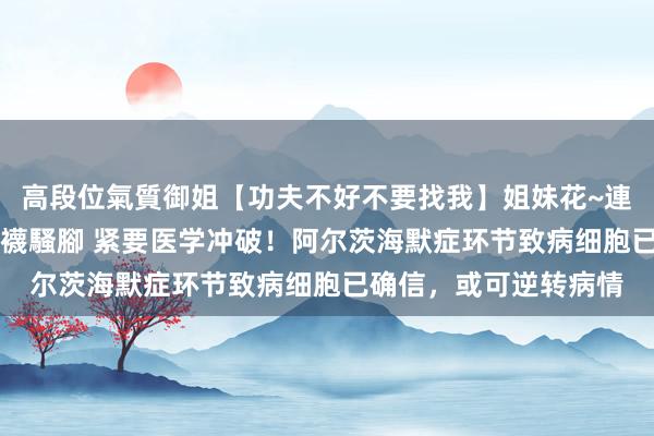 高段位氣質御姐【功夫不好不要找我】姐妹花~連體絲襪~大奶晃動~絲襪騷腳 紧要医学冲破！阿尔茨海默症环节致病细胞已确信，或可逆转病情