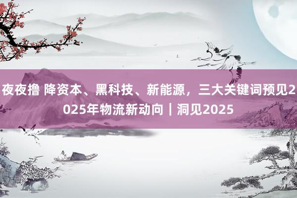 夜夜撸 降资本、黑科技、新能源，三大关键词预见2025年物流新动向｜洞见2025
