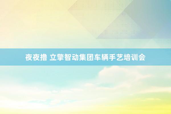 夜夜撸 立擎智动集团车辆手艺培训会