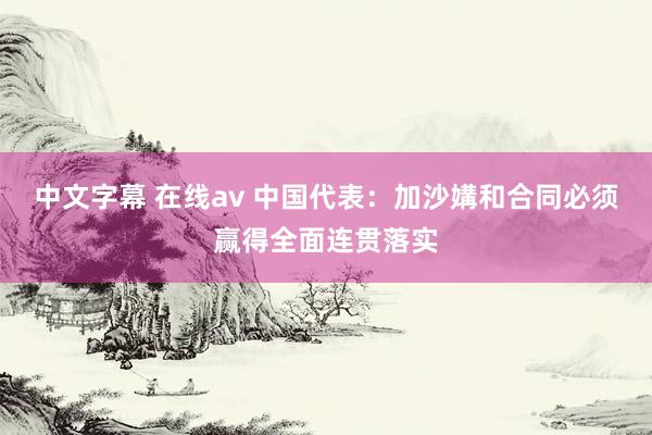 中文字幕 在线av 中国代表：加沙媾和合同必须赢得全面连贯落实