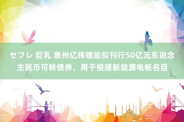 セフレ 巨乳 惠州亿纬锂能拟刊行50亿元东说念主民币可转债券，用于投建新能源电板名目