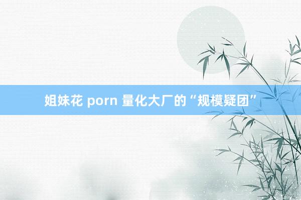 姐妹花 porn 量化大厂的“规模疑团”