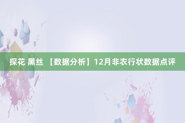 探花 黑丝 【数据分析】12月非农行状数据点评
