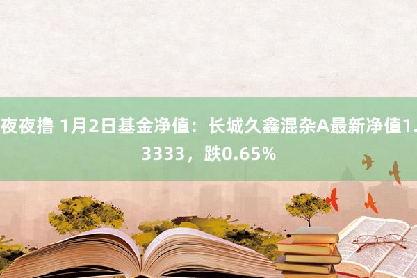 夜夜撸 1月2日基金净值：长城久鑫混杂A最新净值1.3333，跌0.65%