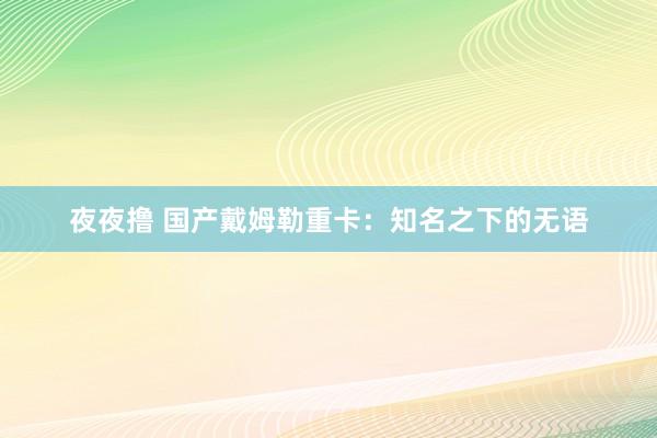 夜夜撸 国产戴姆勒重卡：知名之下的无语