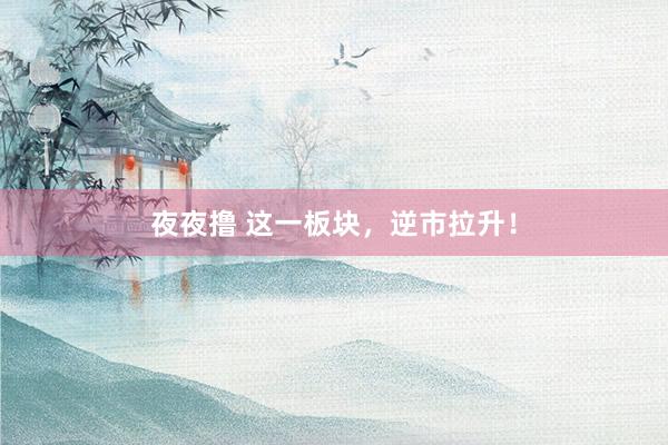 夜夜撸 这一板块，逆市拉升！