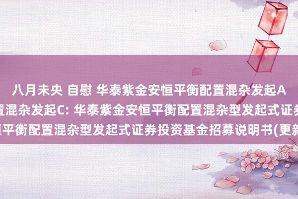 八月未央 自慰 华泰紫金安恒平衡配置混杂发起A,华泰紫金安恒平衡配置混杂发起C: 华泰紫金安恒平衡配置混杂型发起式证券投资基金招募说明书(更新)