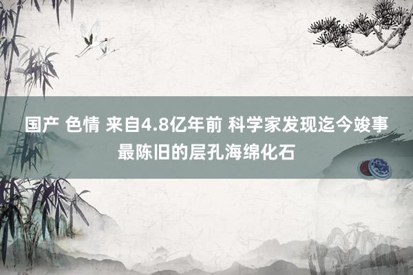 国产 色情 来自4.8亿年前 科学家发现迄今竣事最陈旧的层孔海绵化石